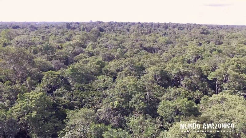 Mundo Amazonico Parques en Colombia