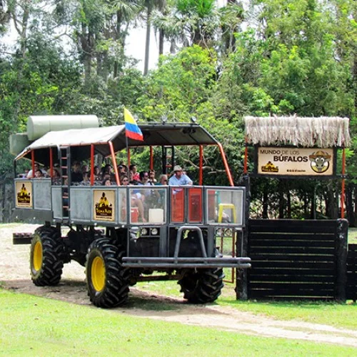 Tiuma Park - Buggy Cerrero