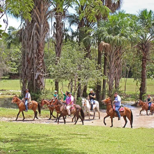 Tiuma Park - Cabalgata del rancho de los parientes