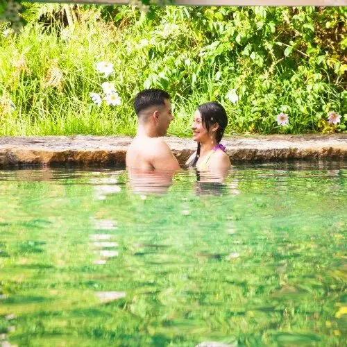 Wellness pasadia